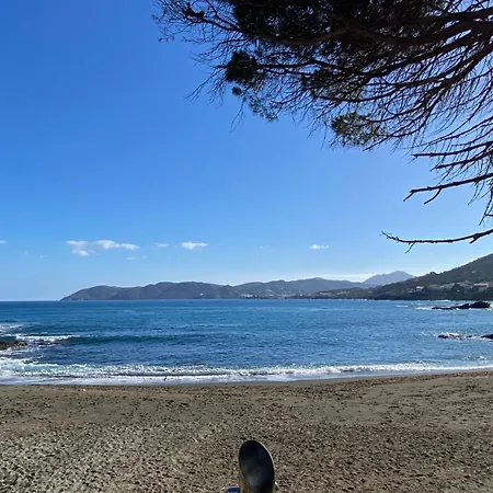 Gran Sol De La Farella *
