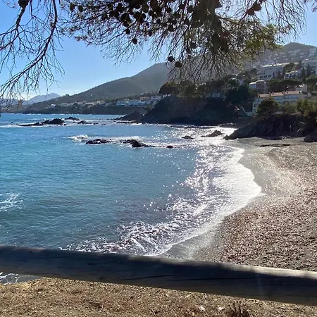 Gran Sol De La Farella